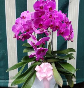 WhatsApp Image 2026-02-05 at 08.45.08